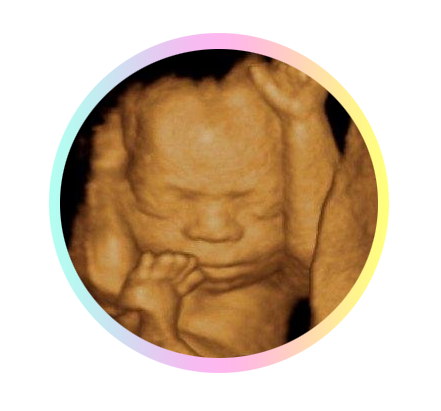 3D 4D Fetal Ultrasound Orange, TX